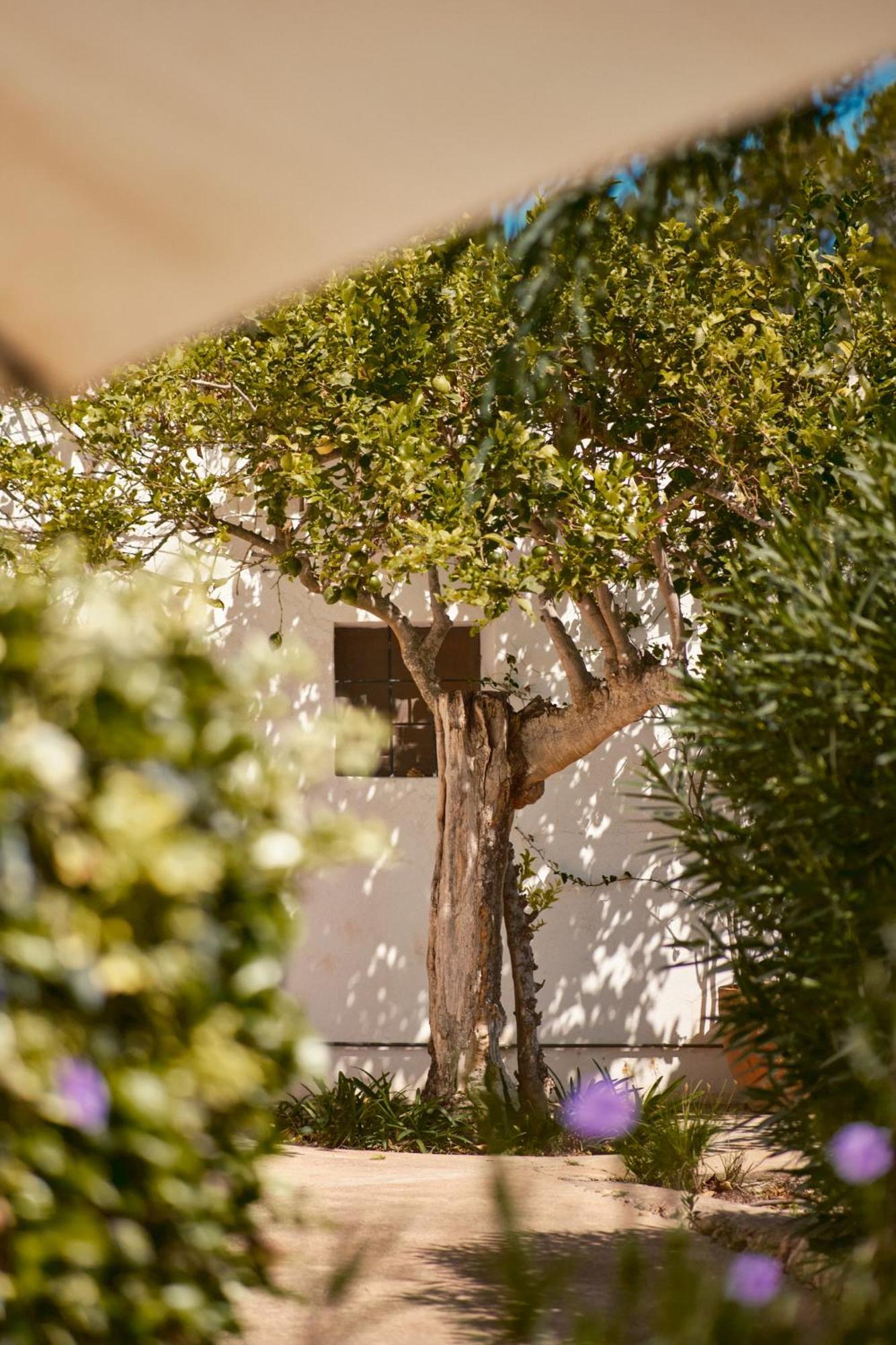 The Guardian House Hotel Santa Gertrudis  ภายนอก รูปภาพ