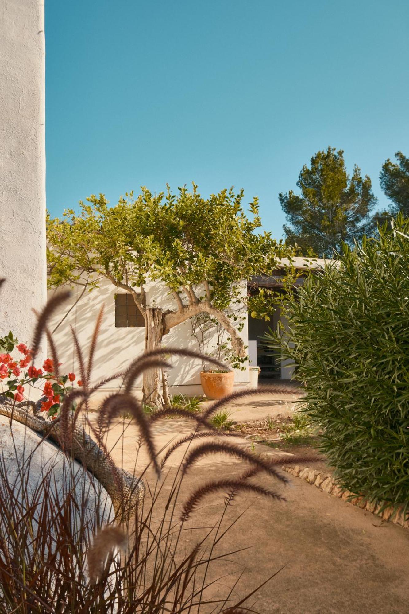 The Guardian House Hotel Santa Gertrudis  ภายนอก รูปภาพ